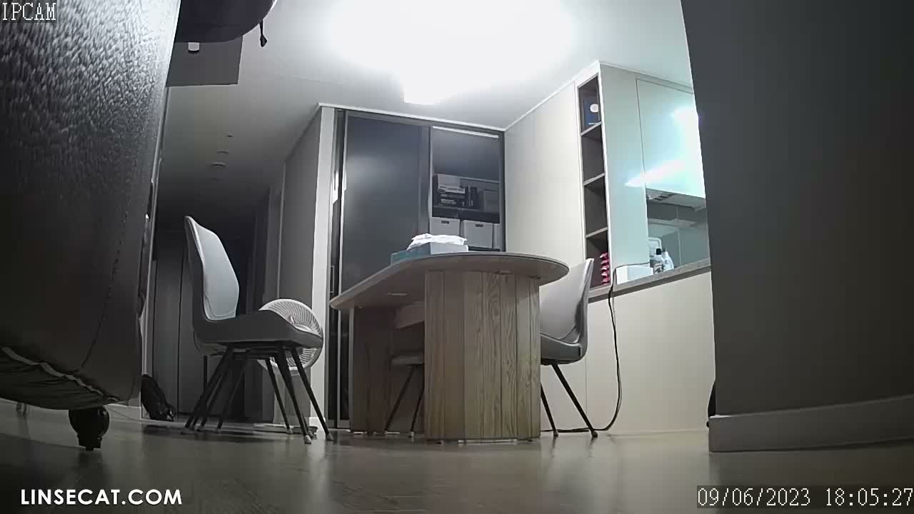 [신작] 매력적인 네 가족. 성인 아들과 딸은 집에서 속옷만 입고 있는 경우가 많고, 심지어 속옷 사이로 음모까지 드러나 있다. [해킹당한 한국 가정용 IP 카메라 영상] 썸네일
